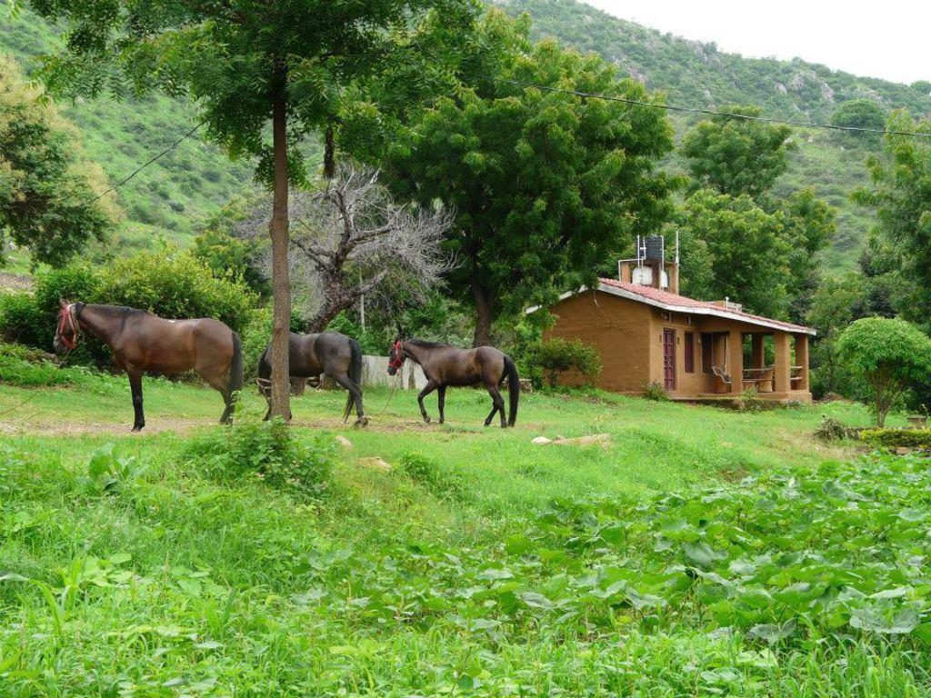 우다이푸르 Krishna Ranch 빌라 외부 사진